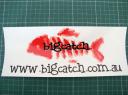 Bigcatch Stickers