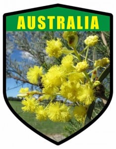 Australian Golden Wattle