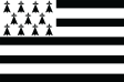 France Brittany - Flag